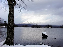 20061206-08hokkaido (9).jpg